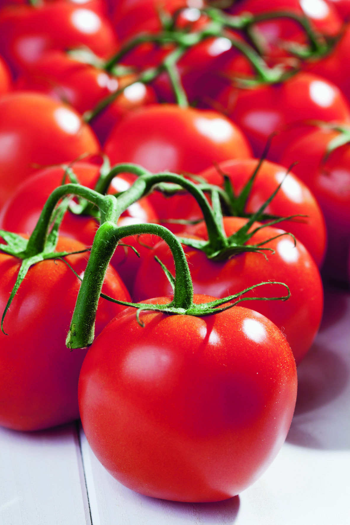 Tomate Benarys Gartenfreude
