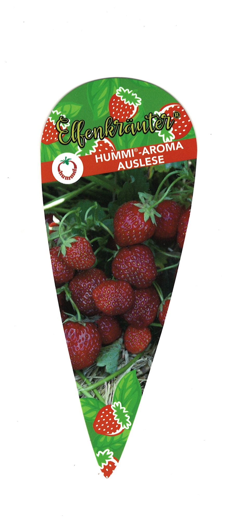 Stecketiketten Erdbeere Hummi®-Aroma Auslese